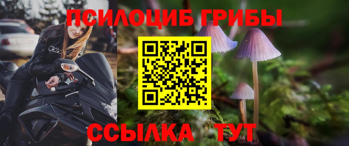 Галлюциногенные грибы Psilocybine cubensis Вятские Поляны